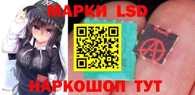 стаф Коломна