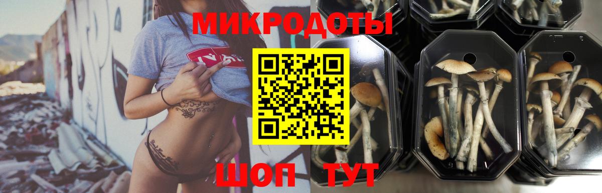 Псилоцибиновые грибы ЛСД Горячий Ключ